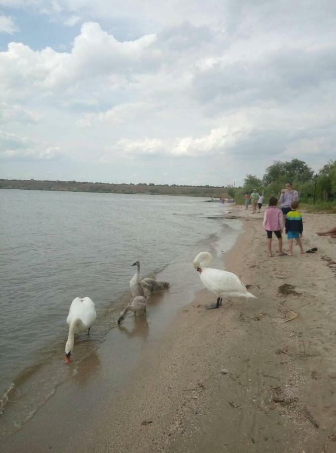 Гостиница «Флинт» Zatoka Esterno foto